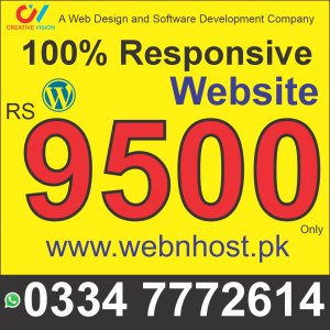 100% Responsive Website