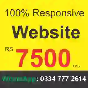 webstie price in pakistan