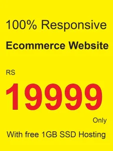 ecommerce website development cost in pakistan