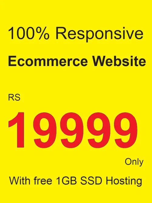 ecommerce website development cost in pakistan