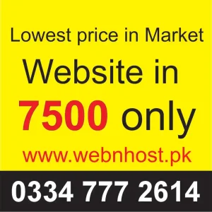 webstie development cost in pakistan