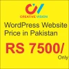 wordpress website price in pakistan