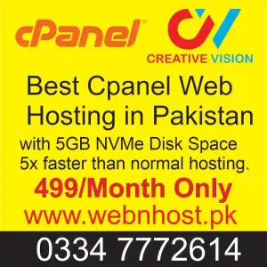 best cpanel web hosting in pakistan