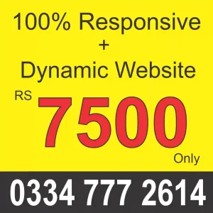dynamic website price in pakistan