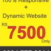 best dynamic website price in pakistan