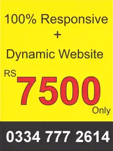 dynamic website price in pakistan