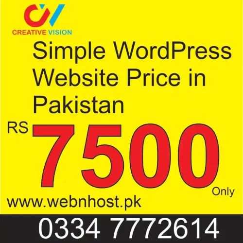 simple wordpress website price in pakistan