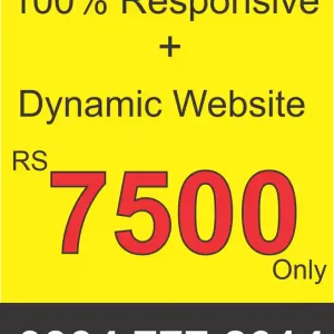 small dynamic website price in pakistan