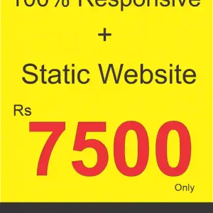 small static website price in pakistan