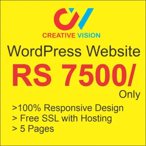 https://www.webnhost.pk/product-category/web-designing/ website cost in pakistan
